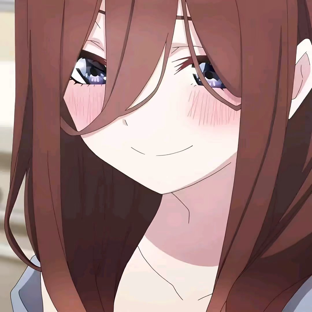 主用卡网
